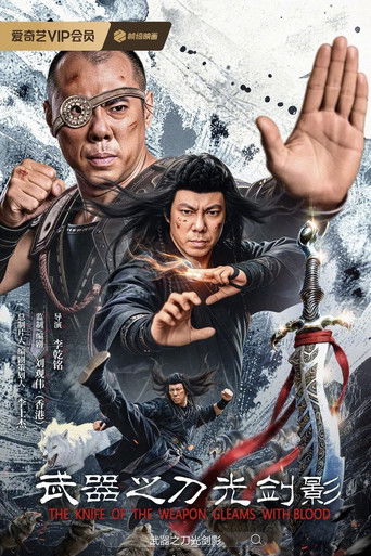武器之刀光剑影海报