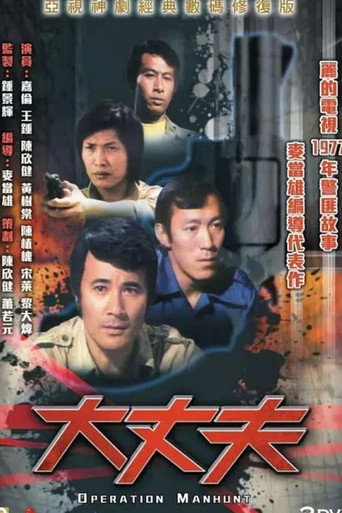 大丈夫海报