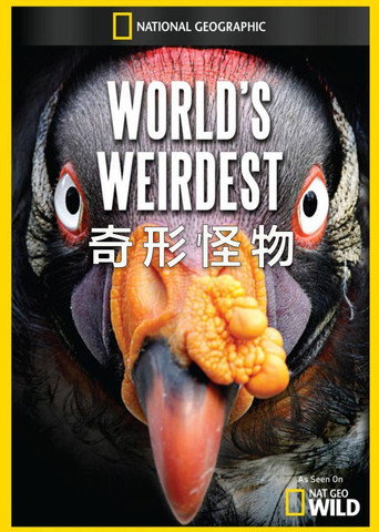 奇形怪物海报
