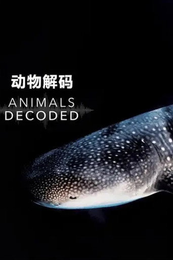 动物解码海报
