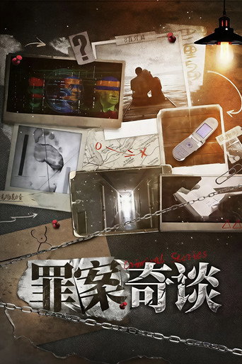 罪案奇谈海报