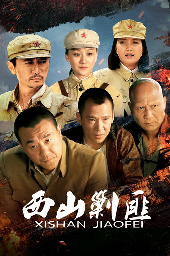 西山剿匪海报