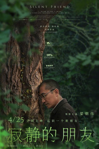 寂静的朋友海报