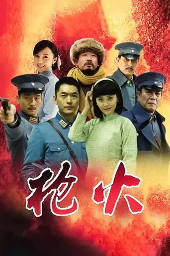 枪火海报