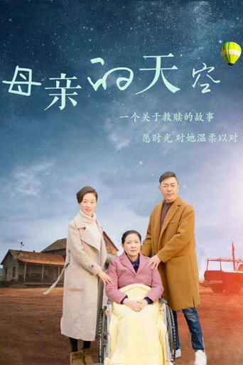 母亲的天空海报
