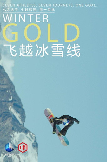 飞越冰雪线海报