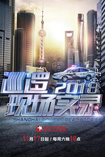 巡逻现场实录海报