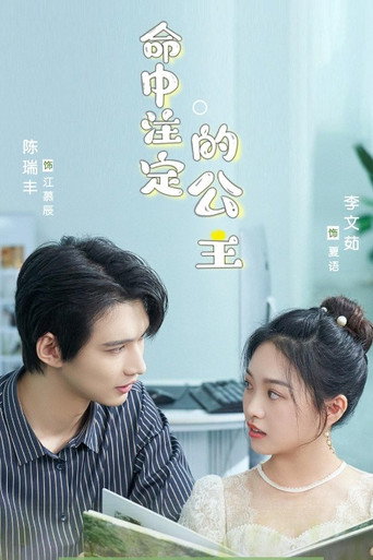 命中注定的公主海报