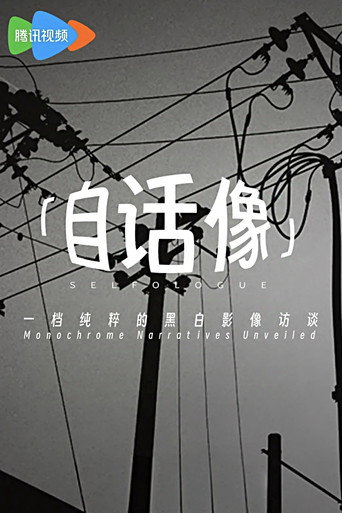 自话像海报