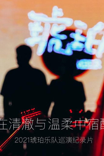 琥珀,在清澈与温柔中宿醉海报