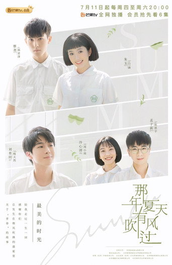 那年夏天有风吹过海报