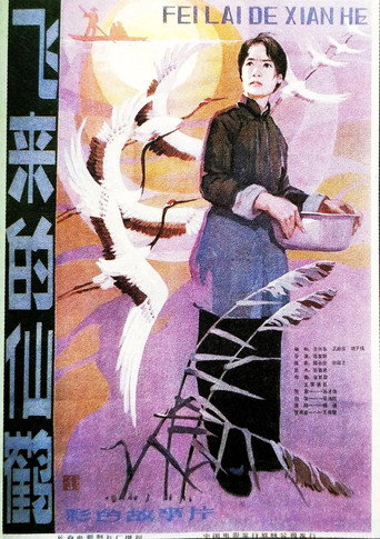 飞来的仙鹤海报
