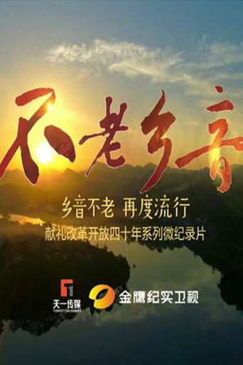 不老乡音海报