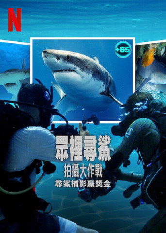 众里寻鲨：拍摄大作战海报
