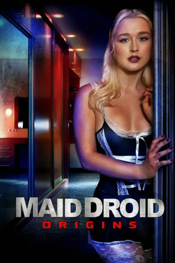 女仆机器人起源海报