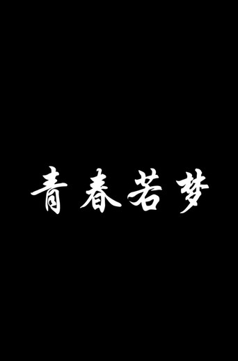 青春若梦海报