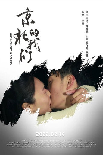 京北的我们海报