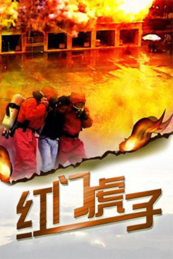 红门虎子海报