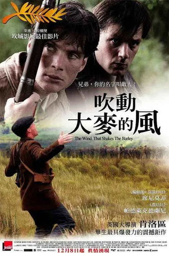 风吹麦浪海报