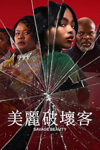 美丽破坏者海报