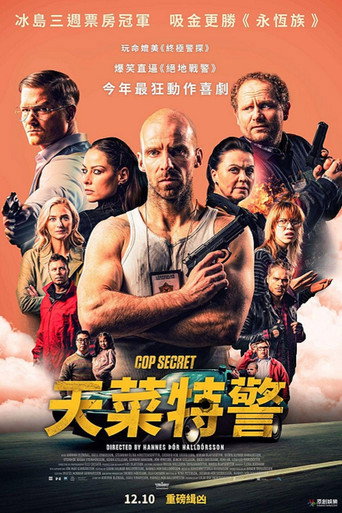 特警秘恋海报