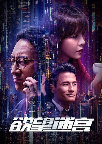 欲望迷宫海报