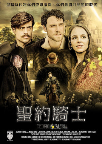 圣约骑士海报