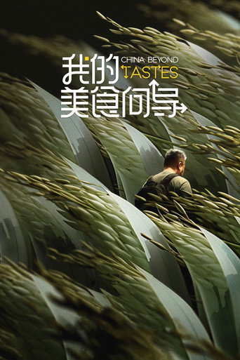 我的美食向导海报