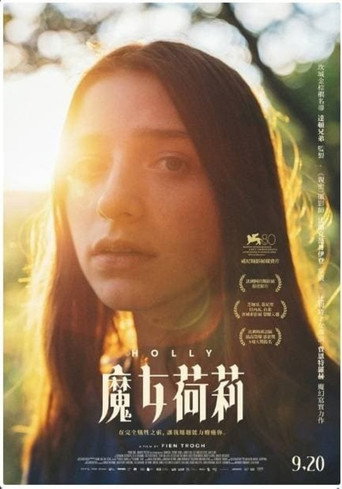霍莉海报