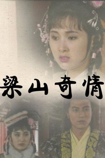 梁山奇情海报