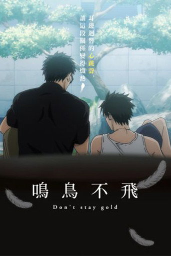 鸣鸟不飞:Don't stay gold海报