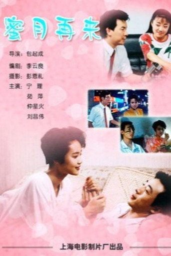 蜜月再来海报