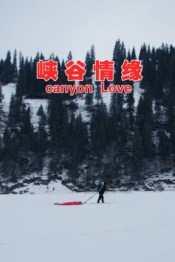 峡谷情缘海报
