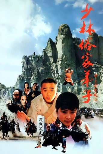 少林俗家弟子海报