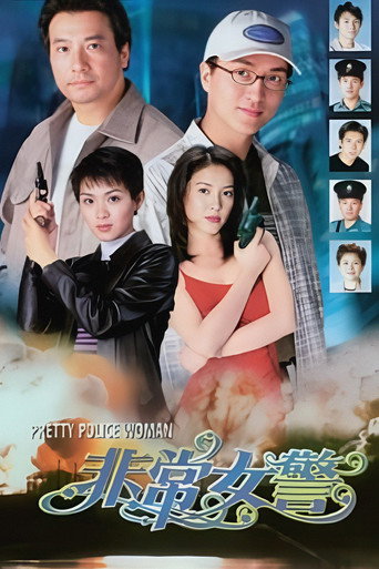 非常女警海报