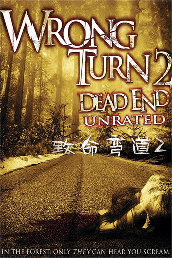致命弯道2：死路海报