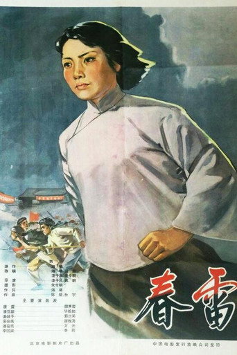 春雷海报