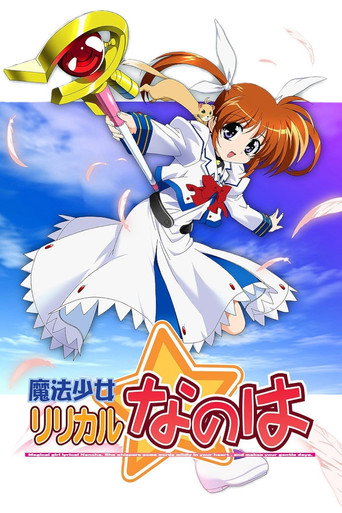 魔法少女奈叶海报