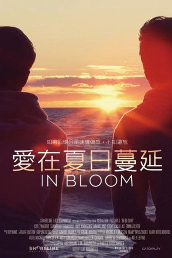 萌动海报