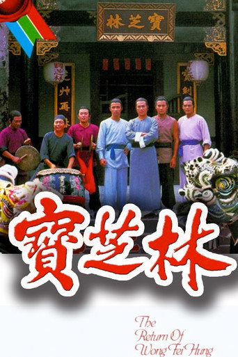 宝芝林海报