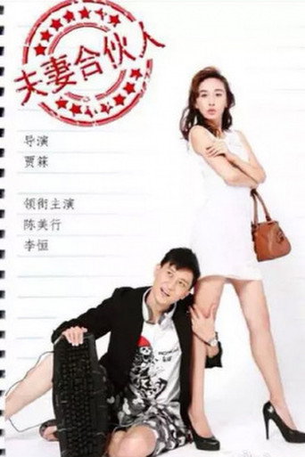 夫妻合伙人海报