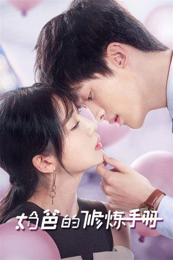 奶爸的修炼手册海报