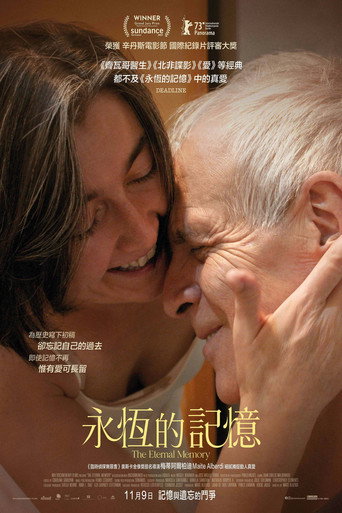 永恒的记忆海报