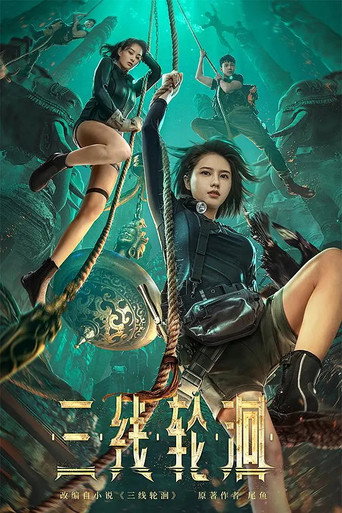 三线轮洄海报