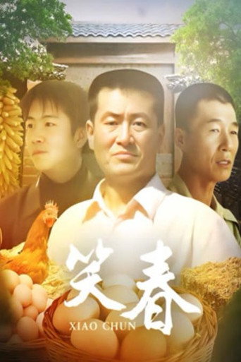 笑春海报