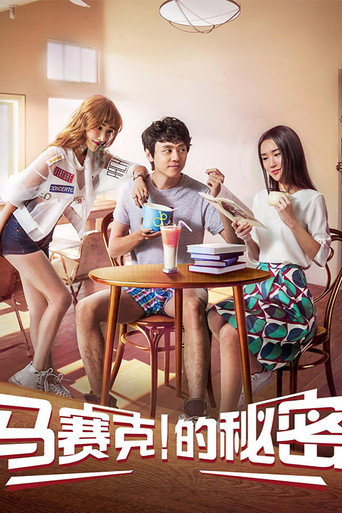 马赛克的秘密海报