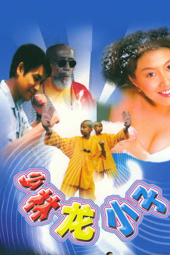 少林龙小子海报