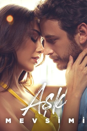爱的季节海报