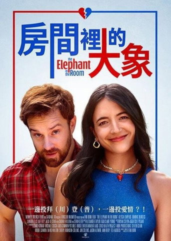 房间里的大象海报