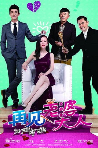 再见老婆大人海报